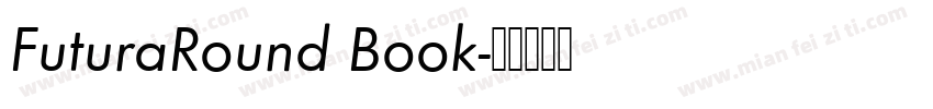 FuturaRound Book字体转换